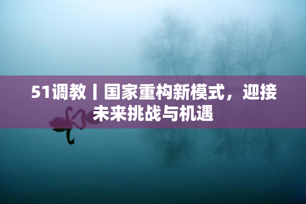 51调教丨国家重构新模式，迎接未来挑战与机遇