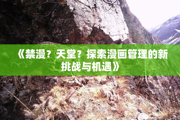 《禁漫？天堂？探索漫画管理的新挑战与机遇》