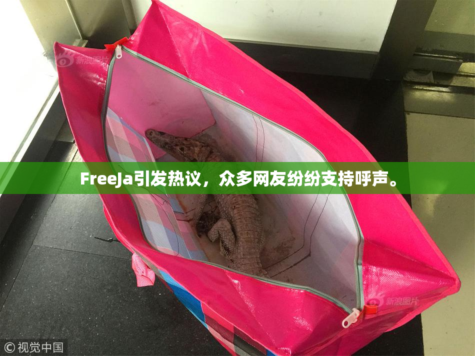 FreeJa引发热议，众多网友纷纷支持呼声。