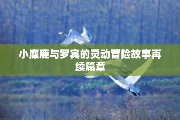 小麋鹿与罗宾的灵动冒险故事再续篇章