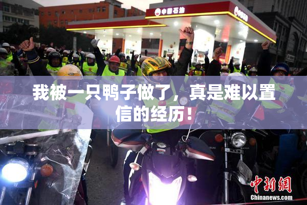 我被一只鸭子做了，真是难以置信的经历！