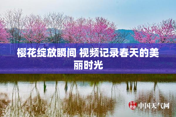 樱花绽放瞬间 视频记录春天的美丽时光