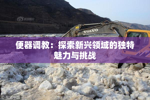 便器调教：探索新兴领域的独特魅力与挑战