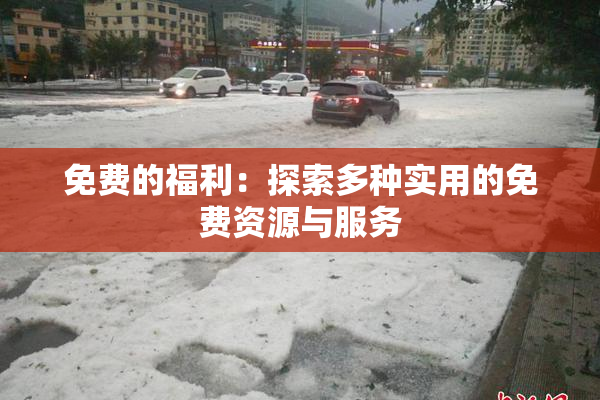 免费的福利：探索多种实用的免费资源与服务