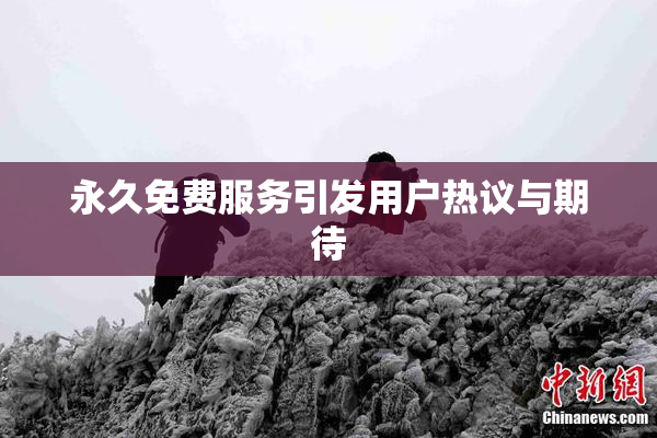 永久免费服务引发用户热议与期待