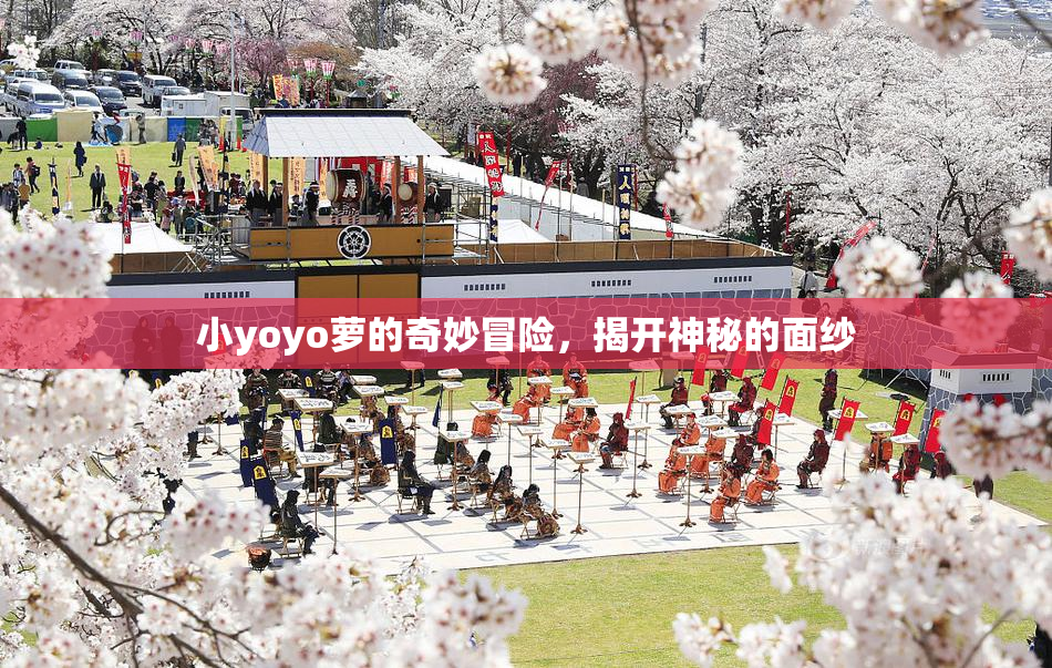 小yoyo萝的奇妙冒险，揭开神秘的面纱