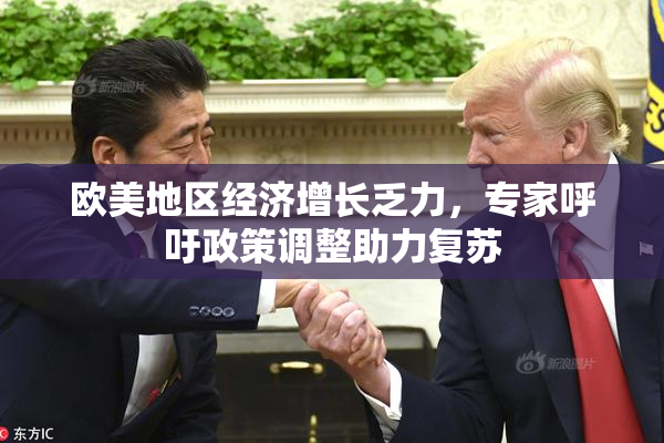 欧美地区经济增长乏力，专家呼吁政策调整助力复苏
