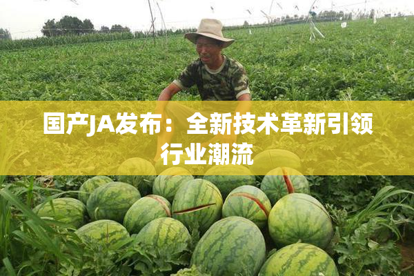 国产JA发布：全新技术革新引领行业潮流