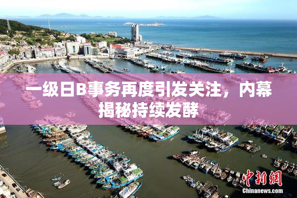 一级日B事务再度引发关注，内幕揭秘持续发酵