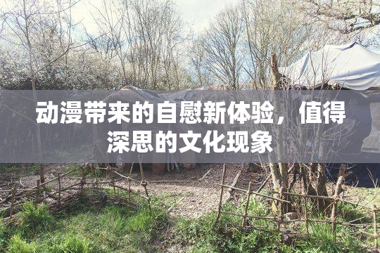 动漫带来的自慰新体验，值得深思的文化现象