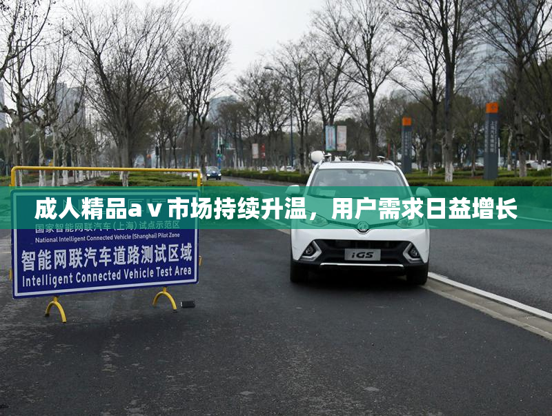 成人精品aⅴ市场持续升温，用户需求日益增长