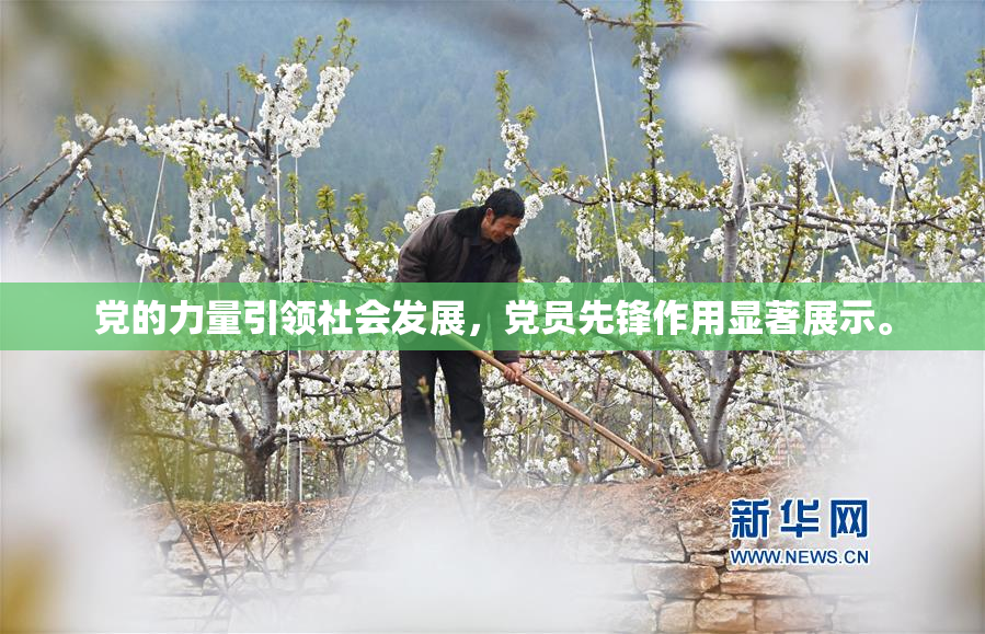 党的力量引领社会发展，党员先锋作用显著展示。