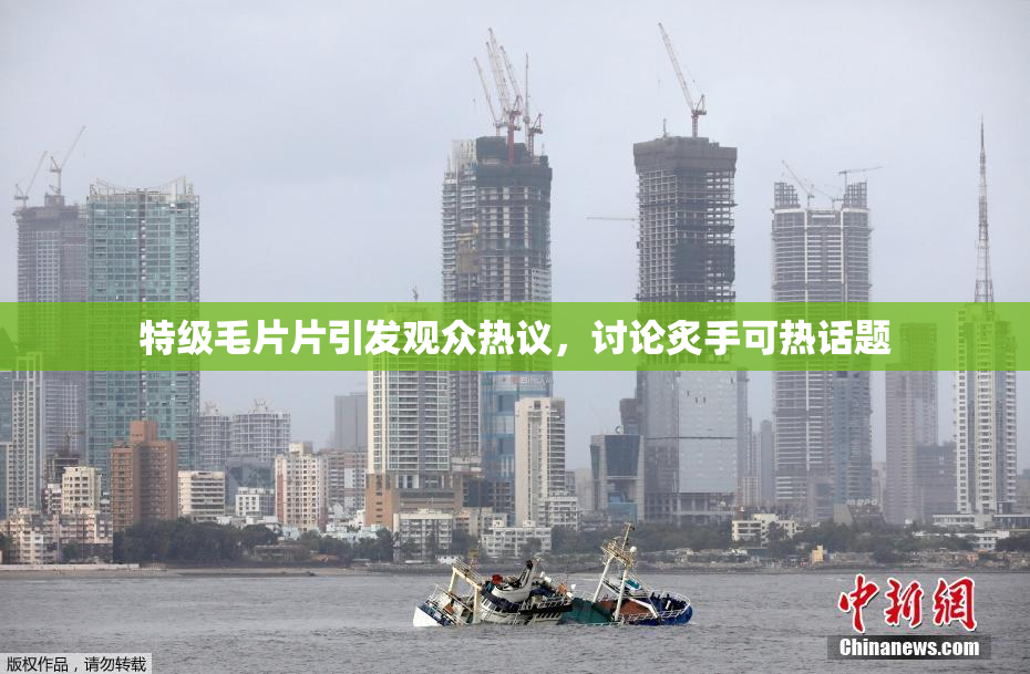 特级毛片片引发观众热议，讨论炙手可热话题