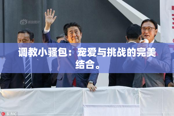 调教小骚包：宠爱与挑战的完美结合。