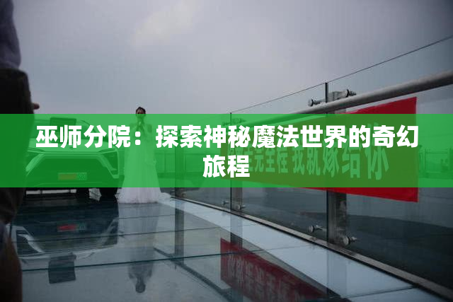 巫师分院：探索神秘魔法世界的奇幻旅程