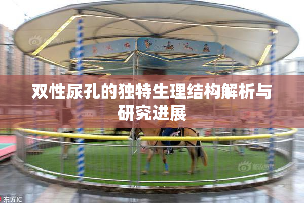 双性尿孔的独特生理结构解析与研究进展