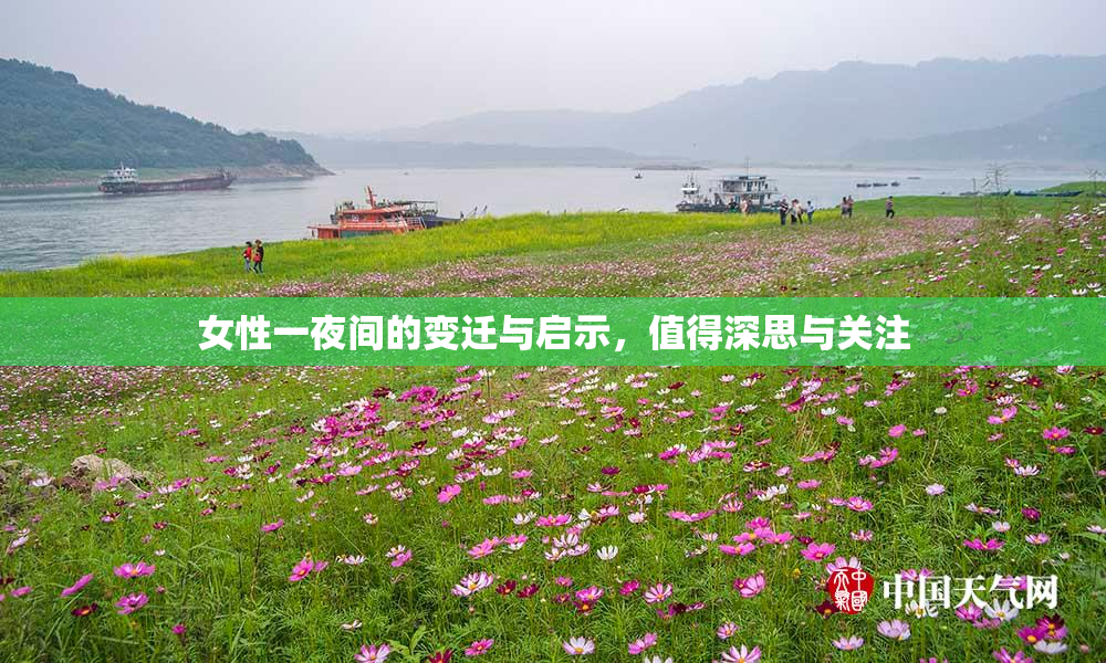 女性一夜间的变迁与启示，值得深思与关注