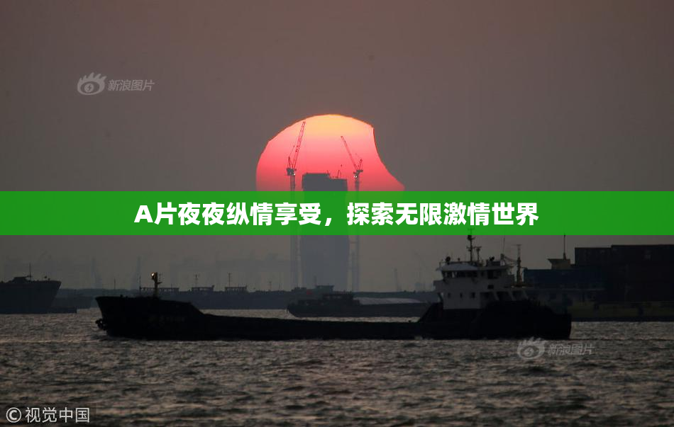 A片夜夜纵情享受，探索无限激情世界