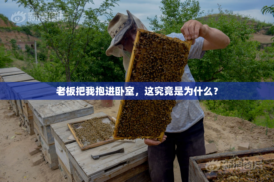 老板把我抱进卧室，这究竟是为什么？