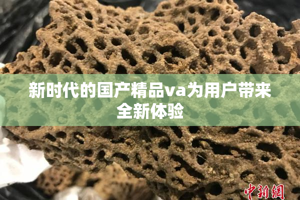 新时代的国产精品va为用户带来全新体验