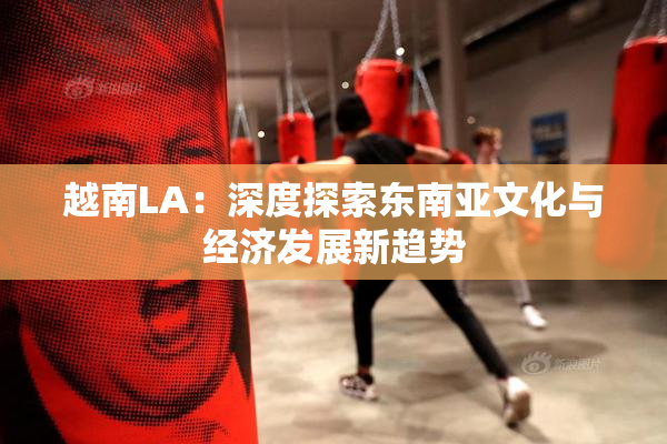 越南LA：深度探索东南亚文化与经济发展新趋势