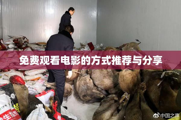 免费观看电影的方式推荐与分享