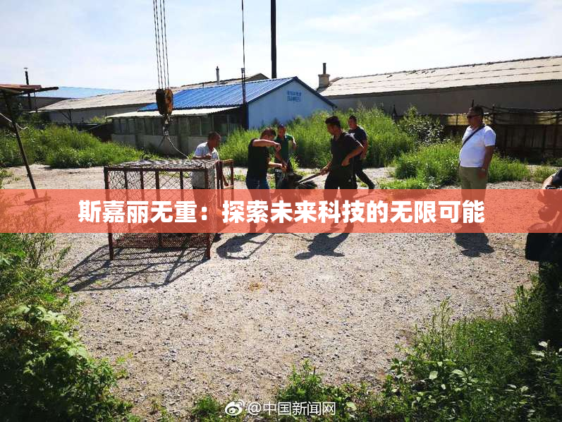 斯嘉丽无重：探索未来科技的无限可能
