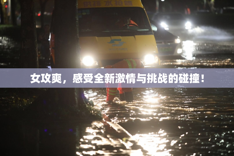 女攻爽，感受全新激情与挑战的碰撞！