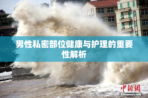 男性私密部位健康与护理的重要性解析