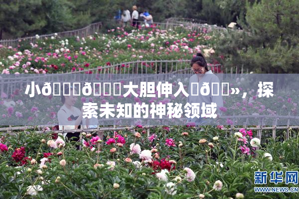 小🐔🐔大胆伸入‌🐻，探索未知的神秘领域
