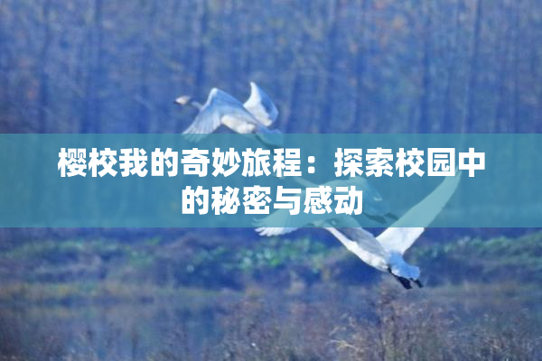 樱校我的奇妙旅程：探索校园中的秘密与感动
