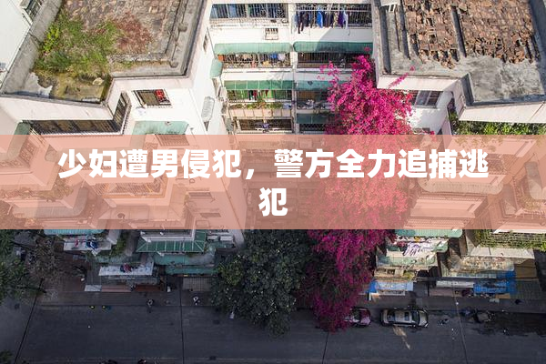 少妇遭男侵犯，警方全力追捕逃犯