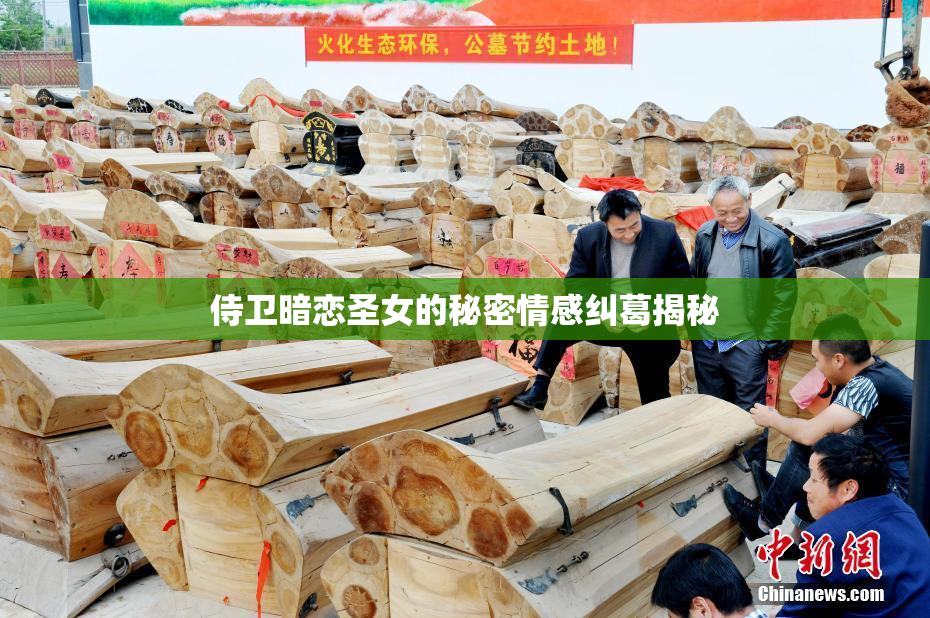 侍卫暗恋圣女的秘密情感纠葛揭秘