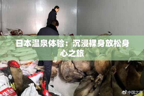 日本温泉体验：沉浸裸身放松身心之旅