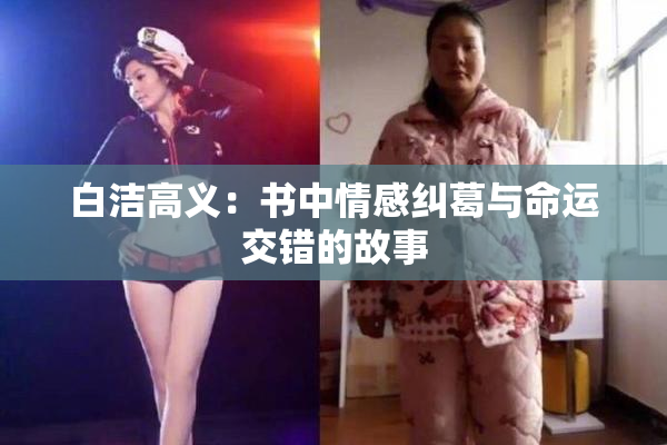 白洁高义：书中情感纠葛与命运交错的故事