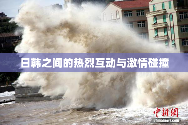日韩之间的热烈互动与激情碰撞