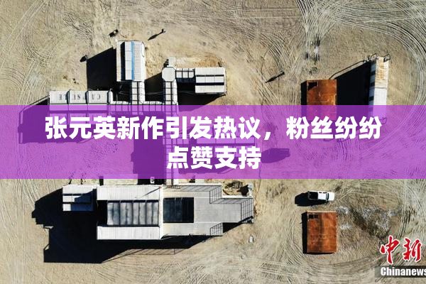张元英新作引发热议，粉丝纷纷点赞支持