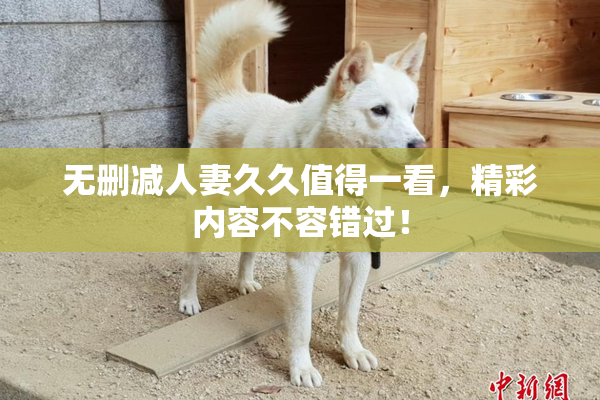 无删减人妻久久值得一看，精彩内容不容错过！