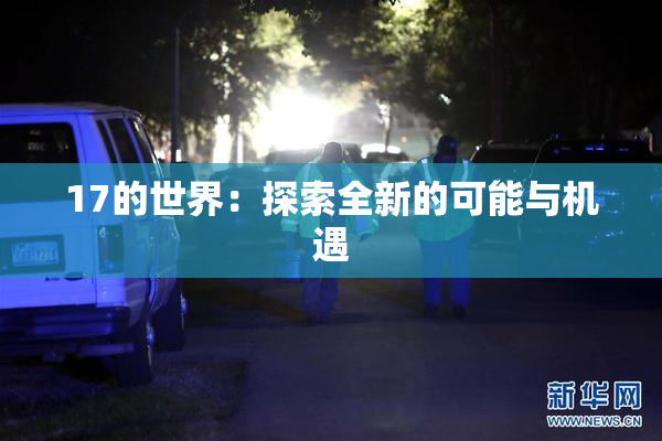 17的世界：探索全新的可能与机遇