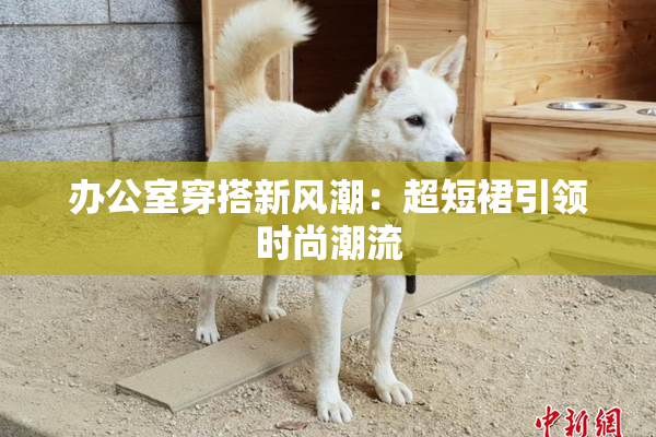 办公室穿搭新风潮：超短裙引领时尚潮流