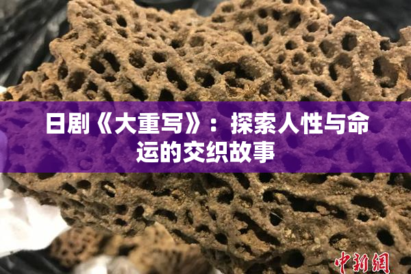 日剧《大重写》：探索人性与命运的交织故事