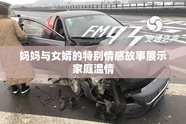 妈妈与女婿的特别情感故事展示家庭温情