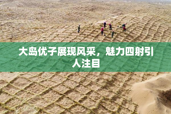 大岛优子展现风采，魅力四射引人注目