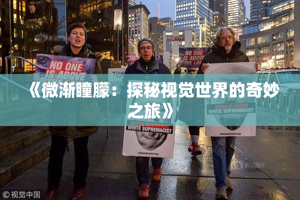 《微渐瞳朦：探秘视觉世界的奇妙之旅》
