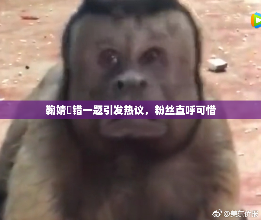 鞠婧祎错一题引发热议，粉丝直呼可惜