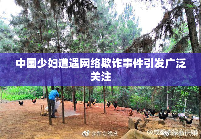 中国少妇遭遇网络欺诈事件引发广泛关注