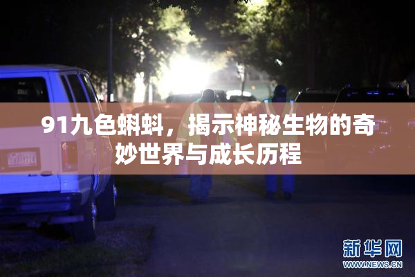 91九色蝌蚪，揭示神秘生物的奇妙世界与成长历程