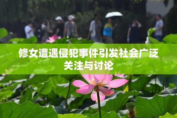 修女遭遇侵犯事件引发社会广泛关注与讨论