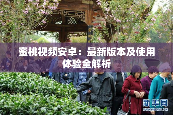 蜜桃视频安卓：最新版本及使用体验全解析