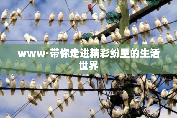 www·带你走进精彩纷呈的生活世界